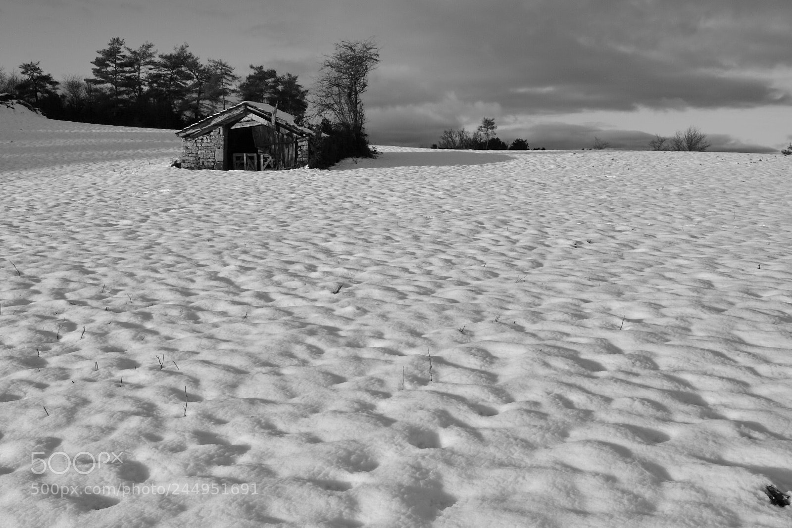 Nikon D7500 sample photo. Snow photography