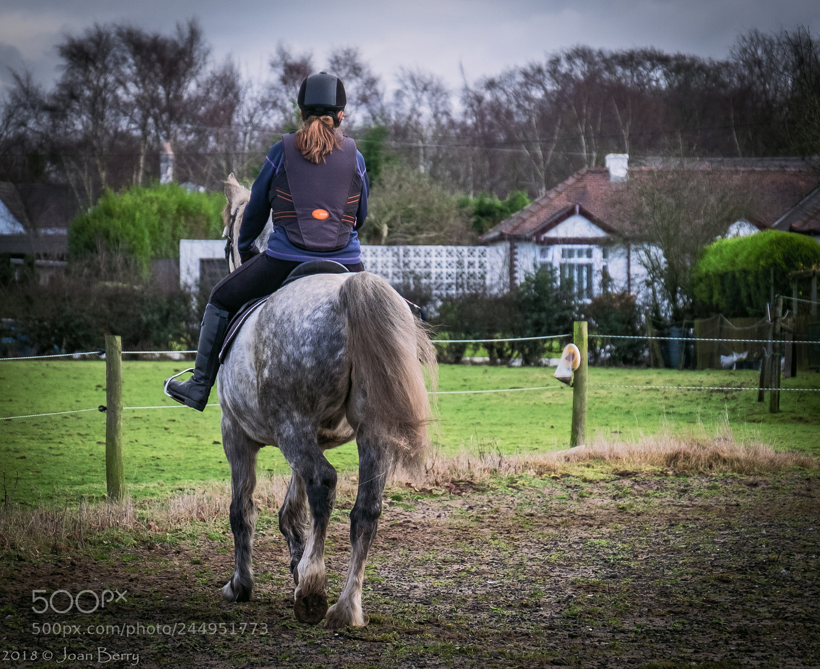 Fujifilm X-T2 sample photo. Horse rider in moore photography