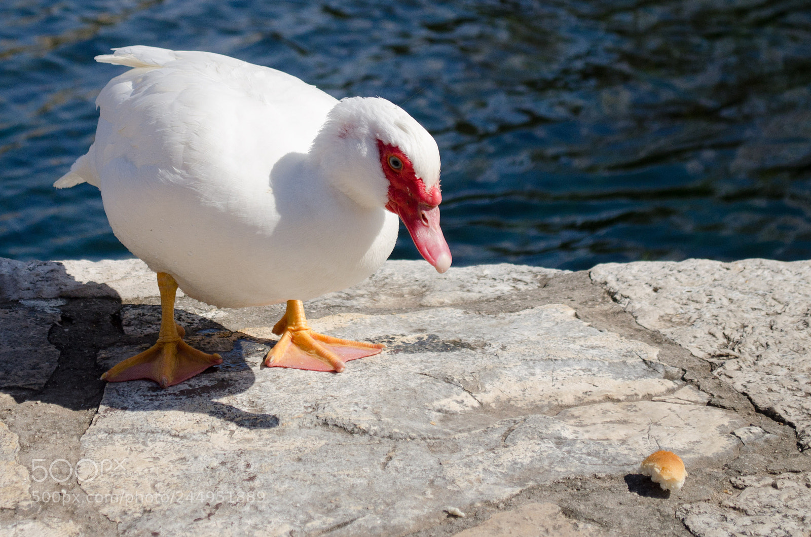 Nikon D5100 sample photo. Untitled photography
