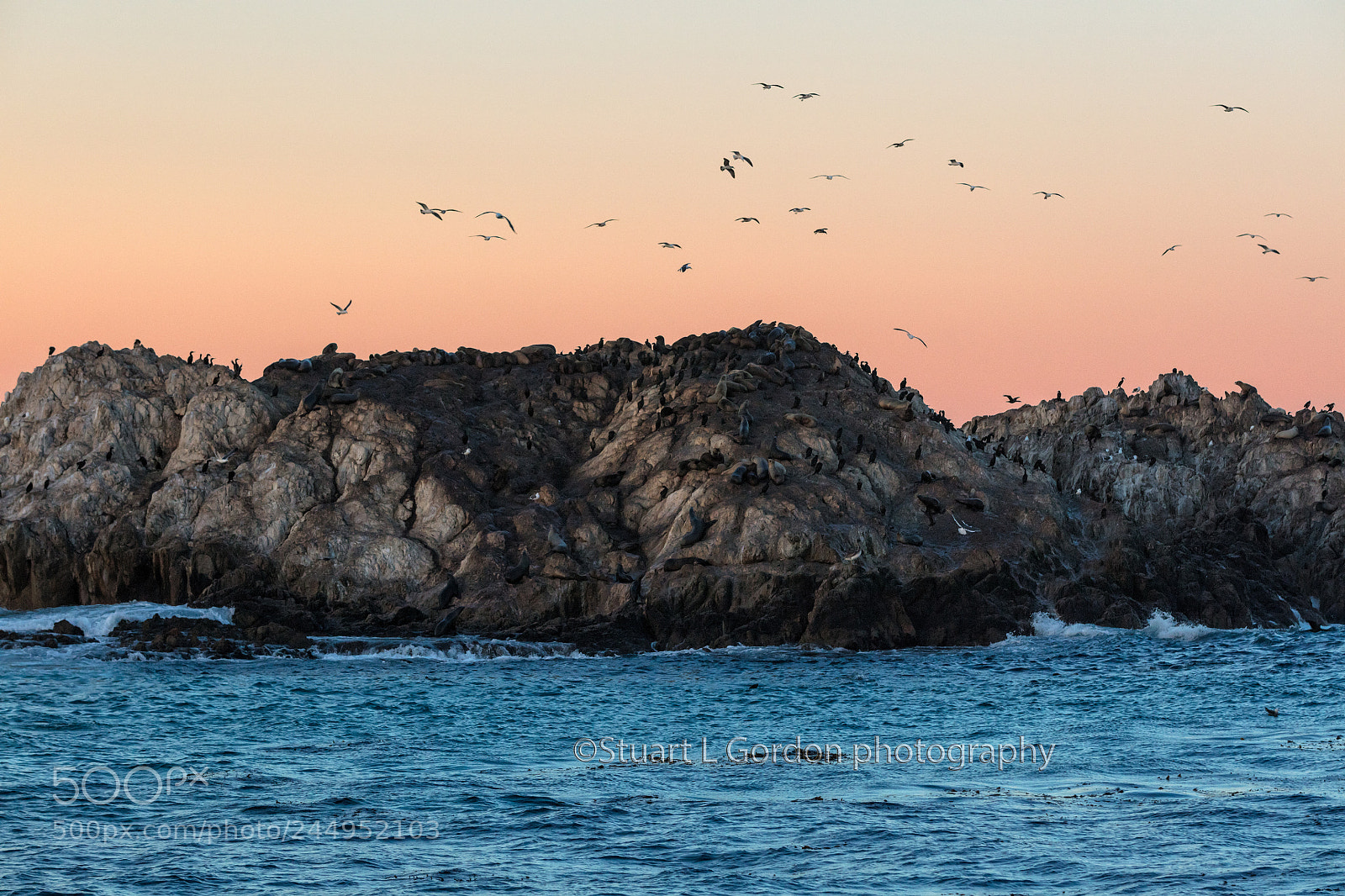 Canon EOS 5DS R sample photo. Morning at seal rock photography