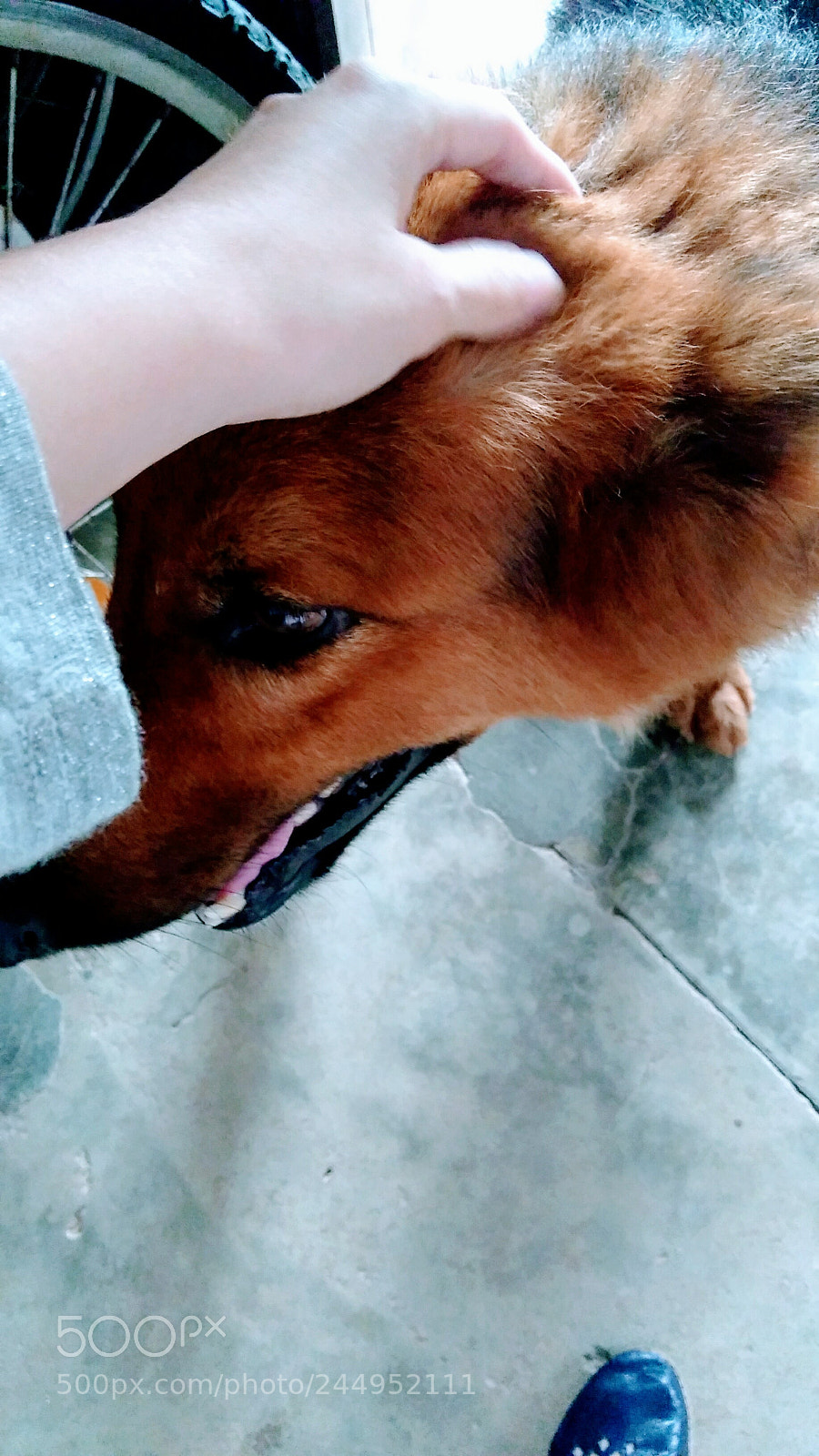 Motorola Moto G Play sample photo. Untitled photography
