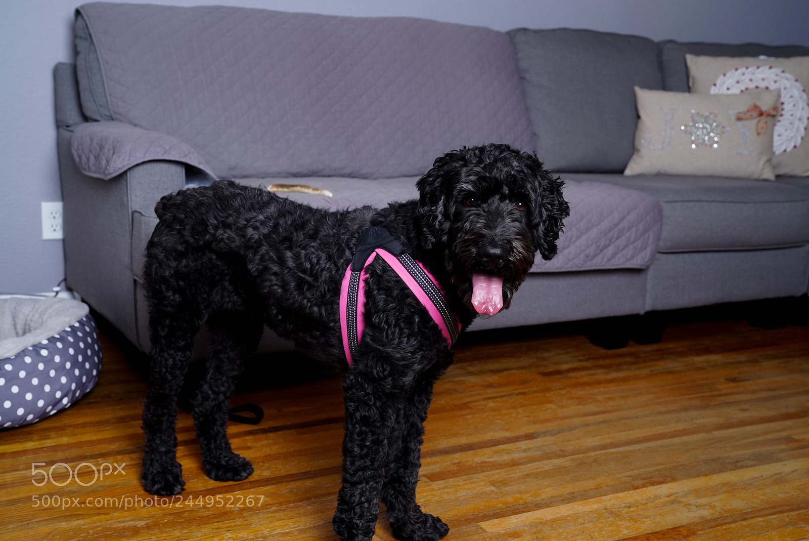 Sony a7S II sample photo. Untitled photography