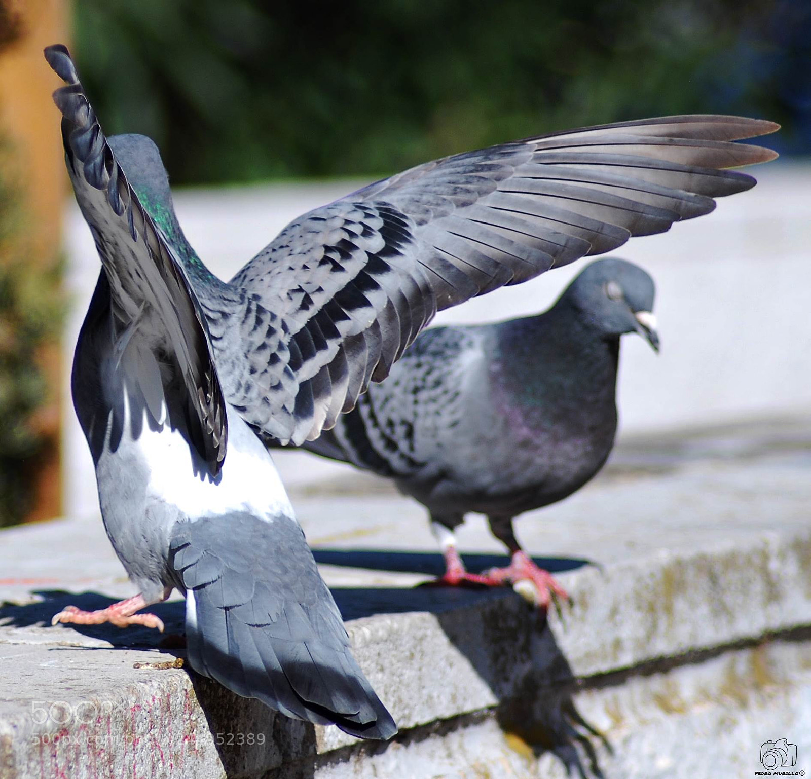 Nikon D60 sample photo. Untitled photography