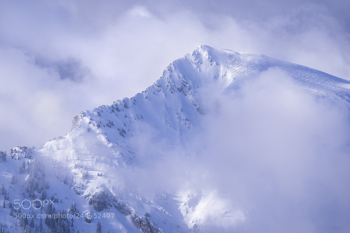 Sony a7R sample photo. Windy som photography