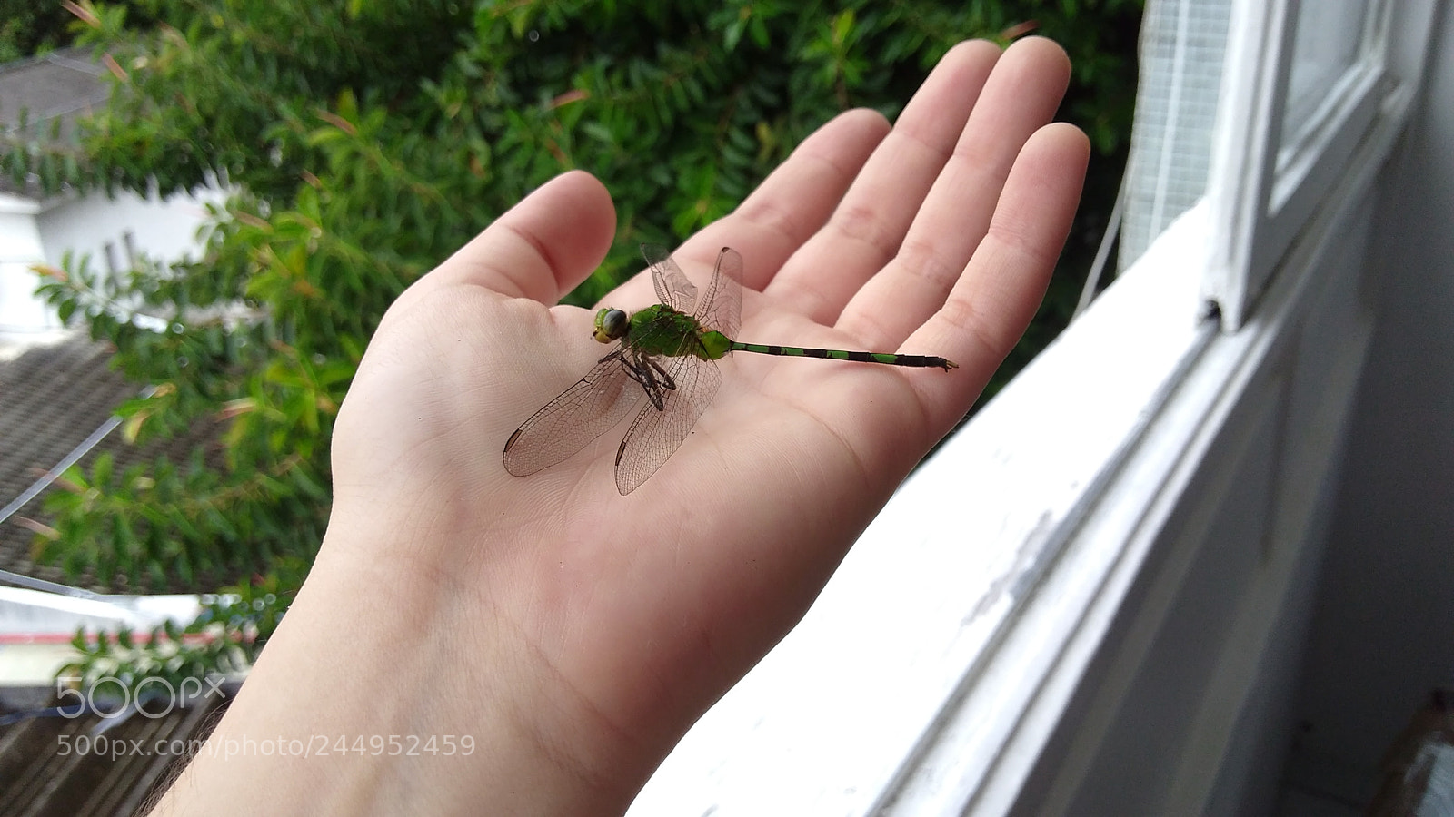 Motorola Moto G Play sample photo. Untitled photography