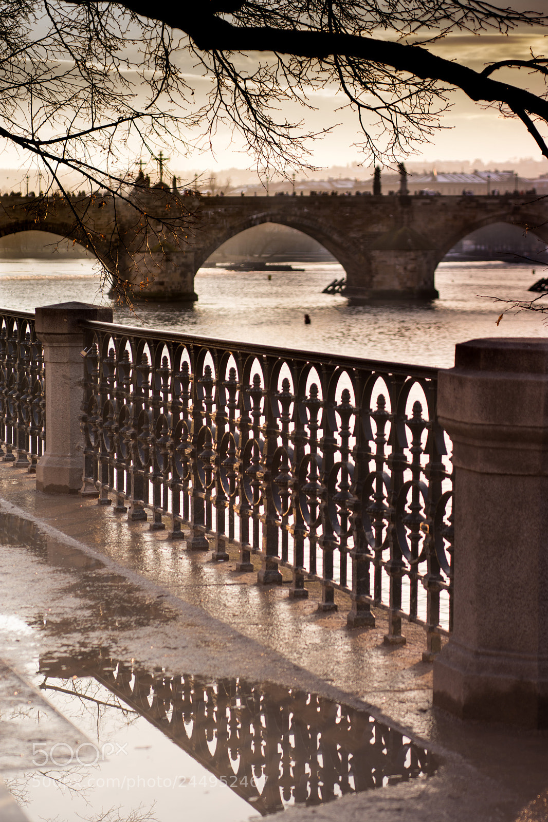 Nikon D7200 sample photo. Iron railing and charles photography