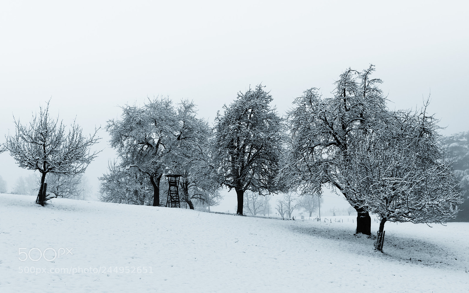 Nikon D5500 sample photo. Whiteout #2 photography