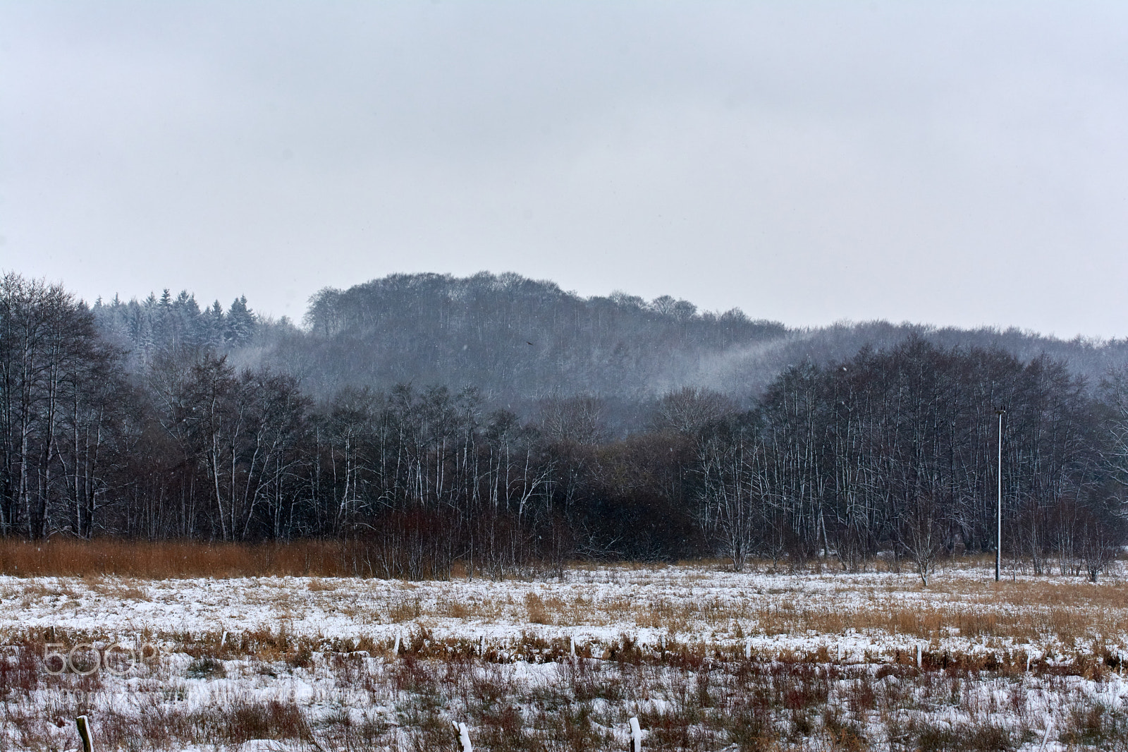 Nikon D7100 sample photo. Cold breeze photography
