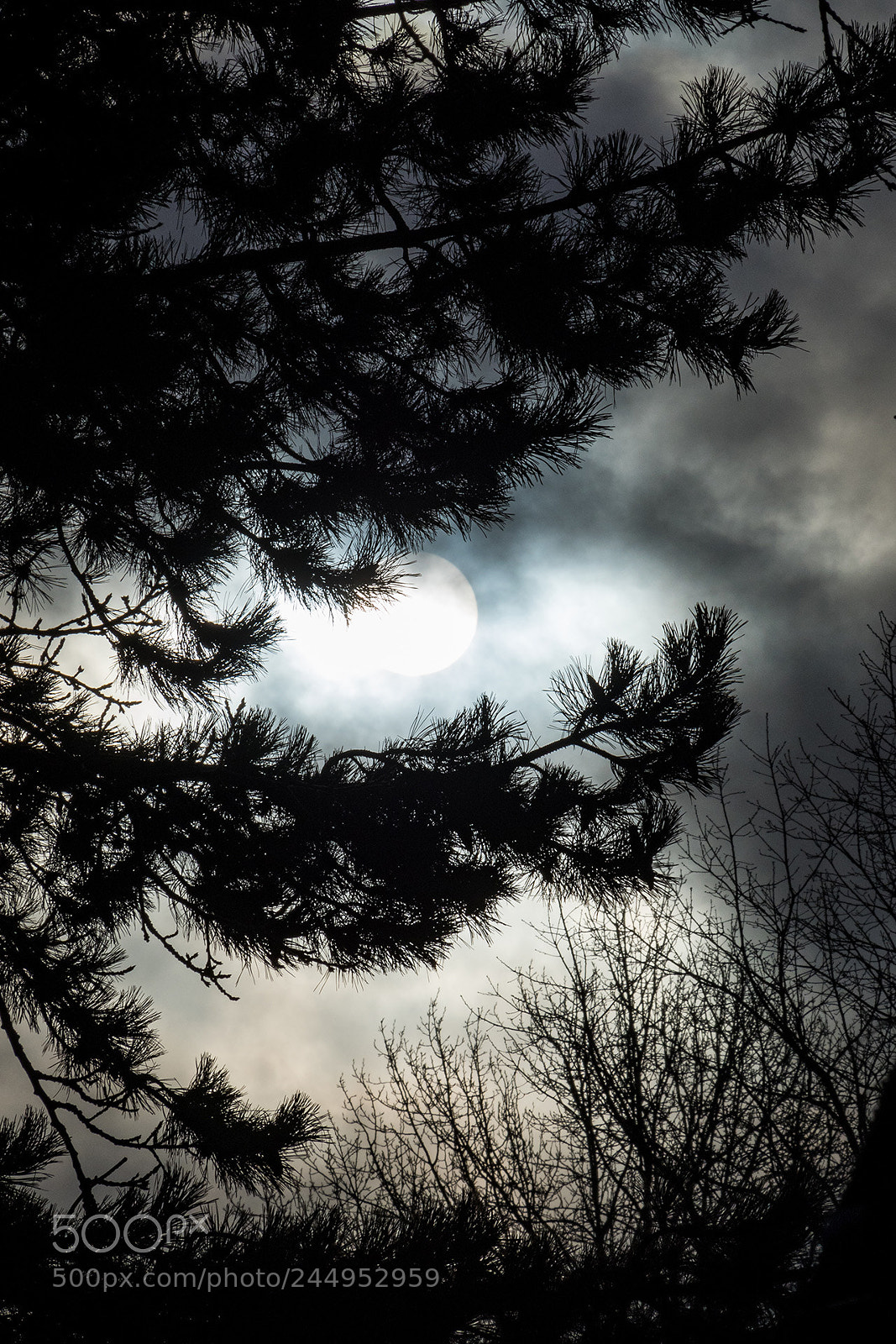Olympus OM-D E-M5 II sample photo. Sun behind cloud in photography