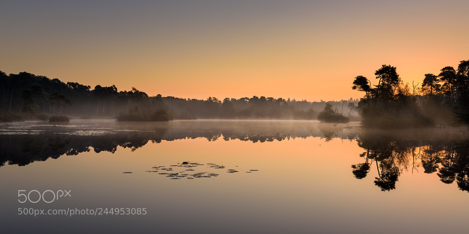 Nikon D810 sample photo. Sunrise at the oisterwijkse photography