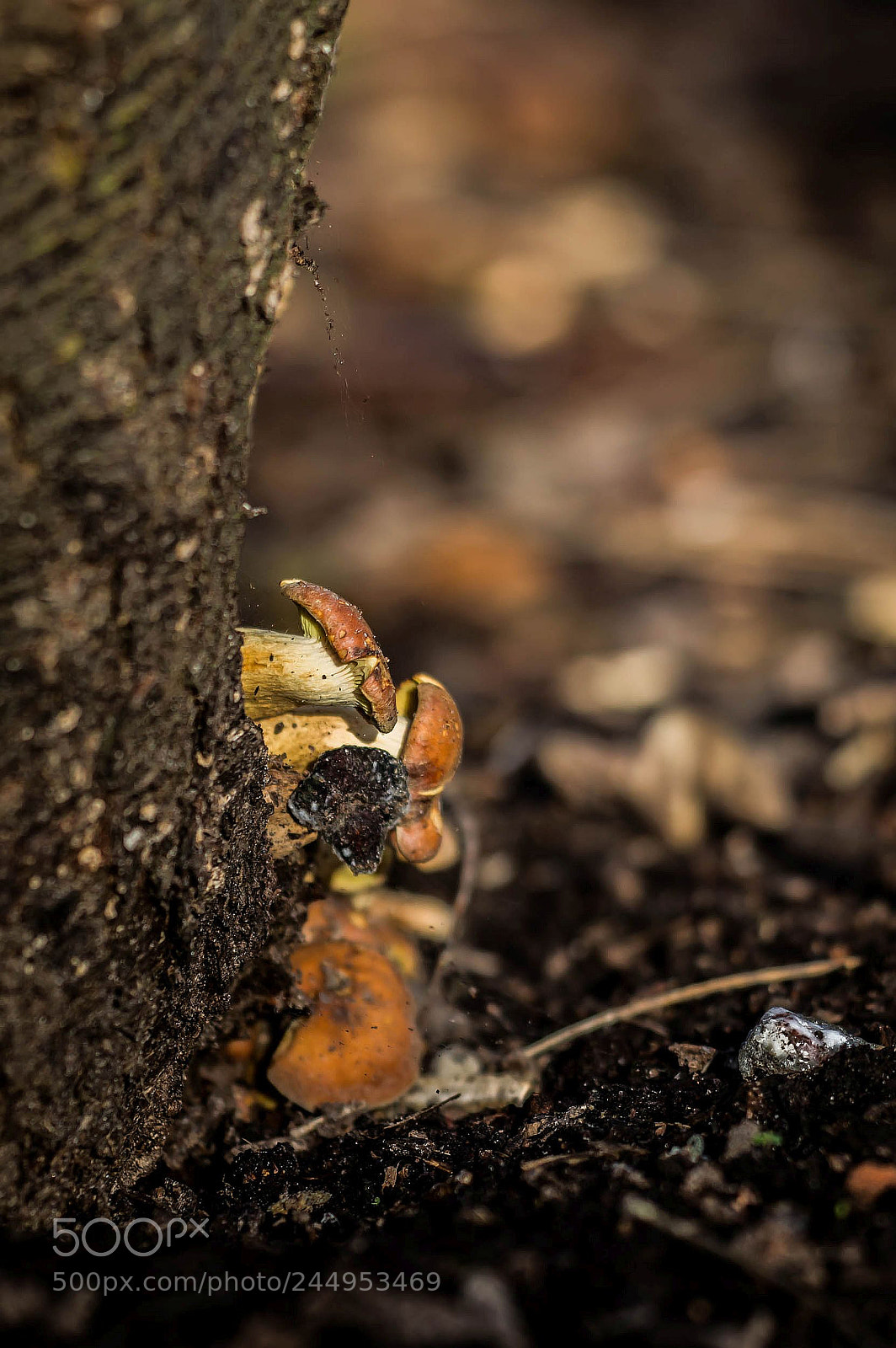 Nikon D3200 sample photo. Be different! photography