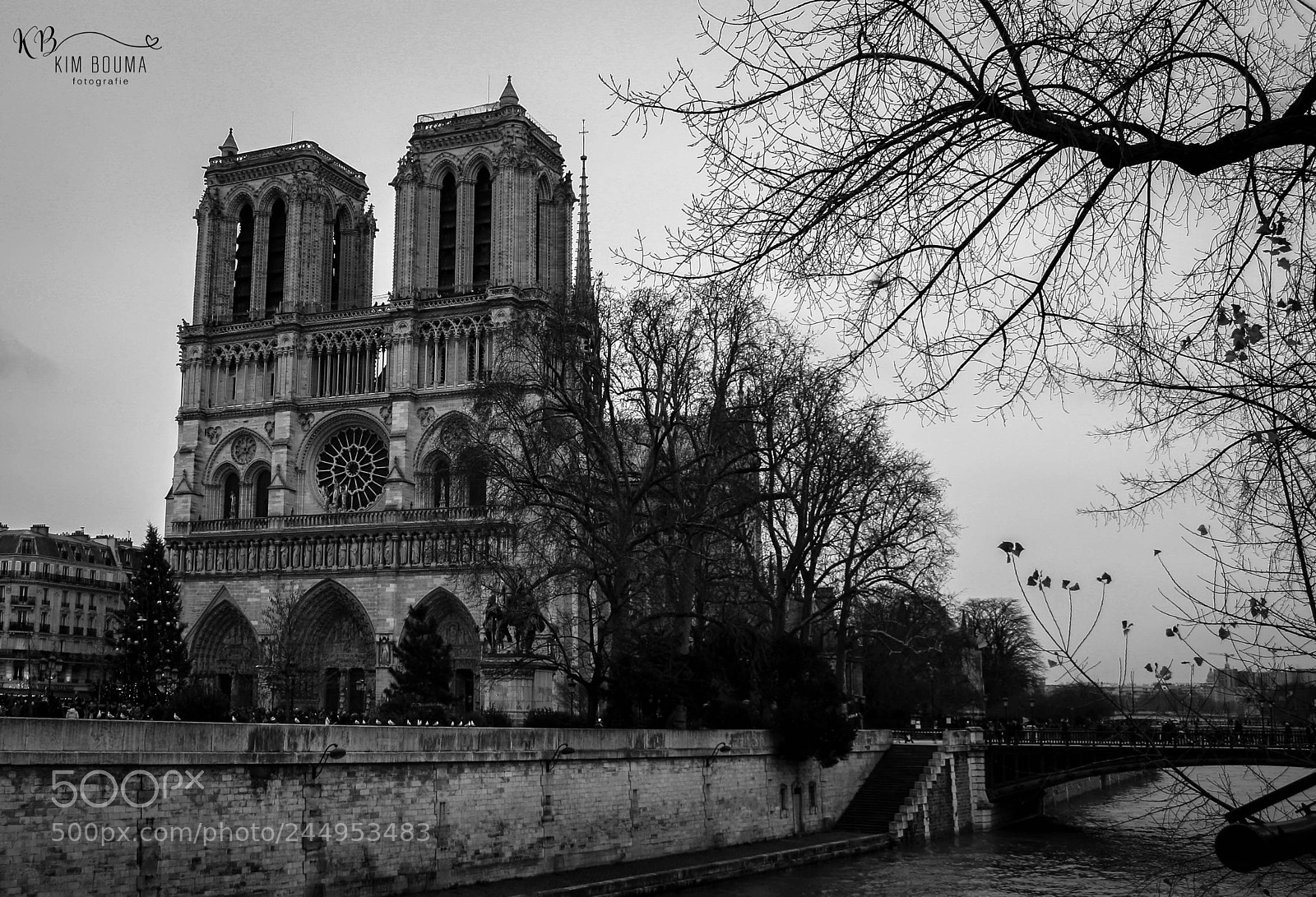 Canon EOS 1000D (EOS Digital Rebel XS / EOS Kiss F) sample photo. Notre-dame paris photography