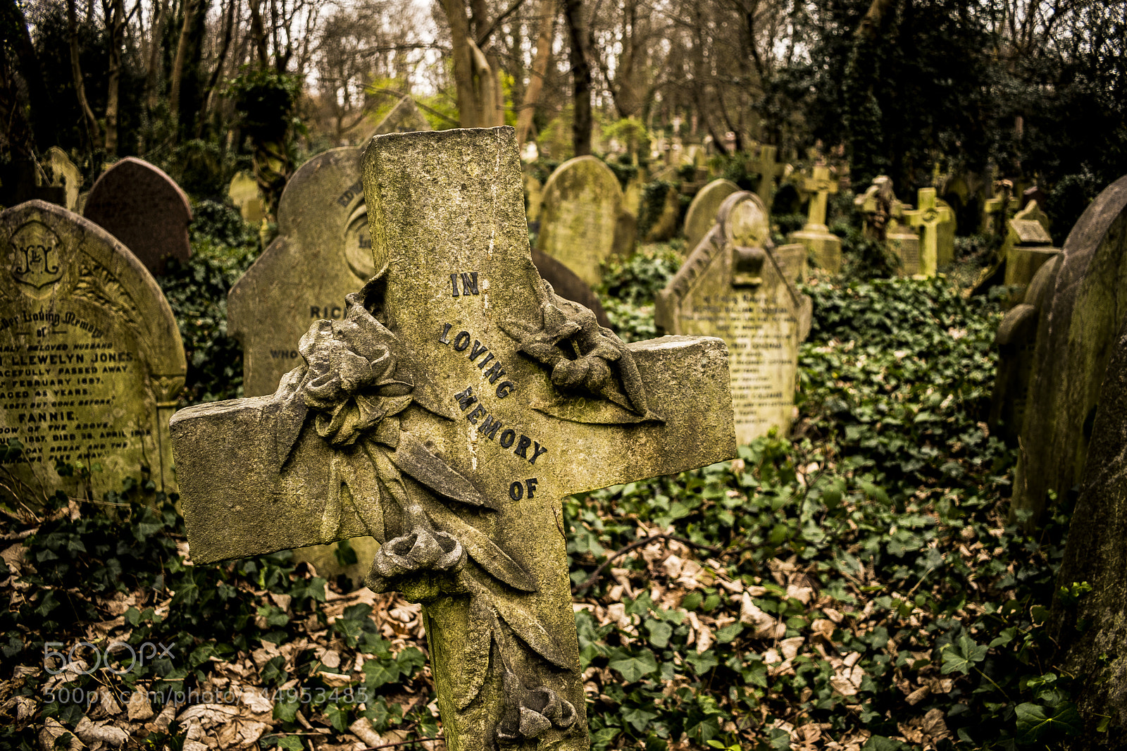 Nikon D5600 sample photo. Gravestones at highgate cemetery,london photography