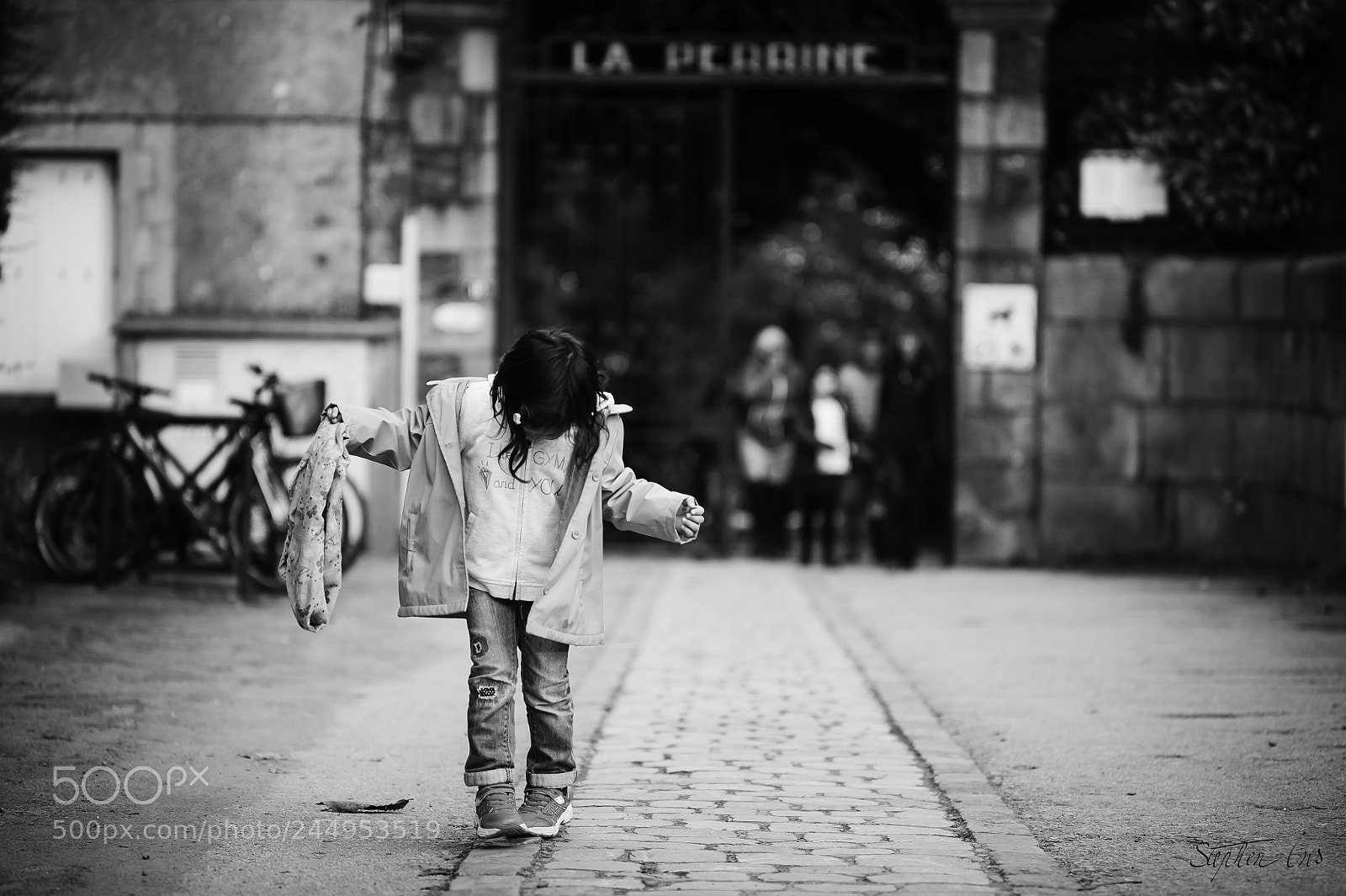 Nikon D700 sample photo. La perrine photography