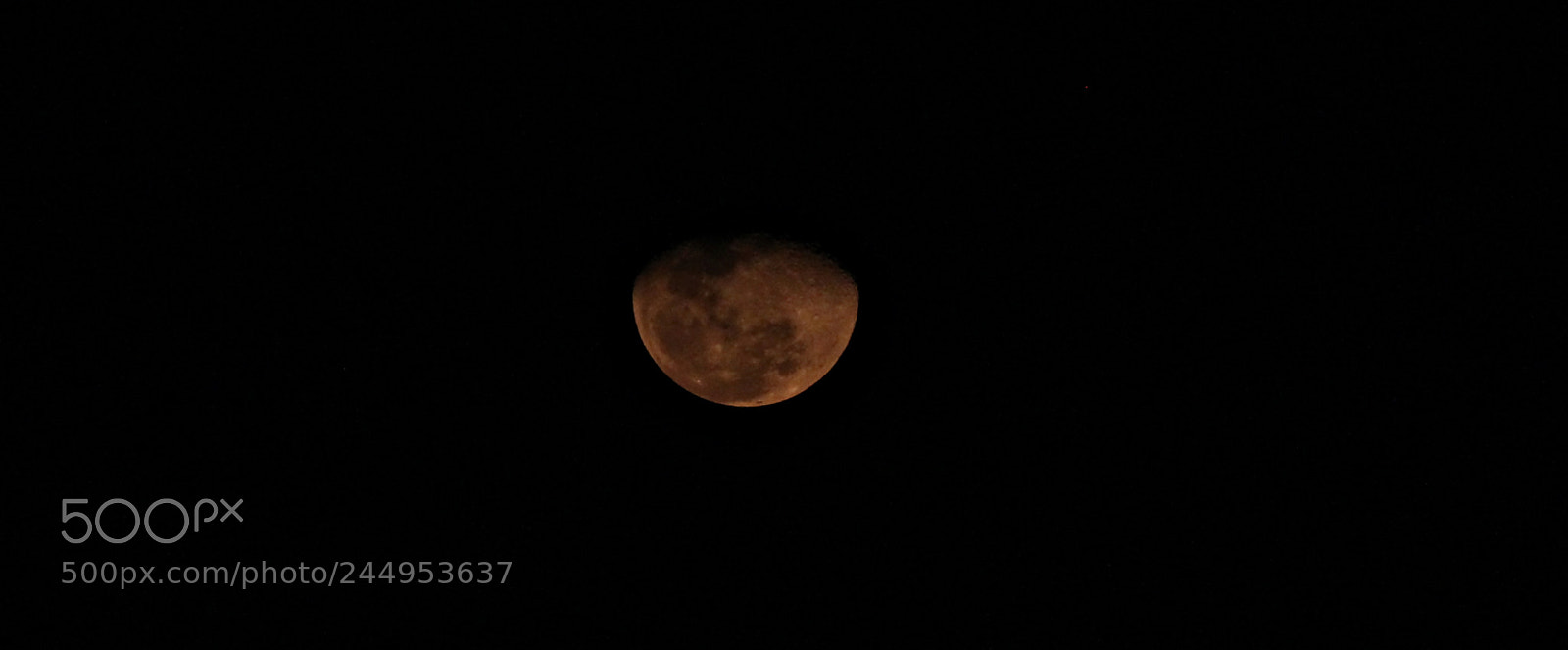 Canon EF-S 55-250mm F4-5.6 IS II sample photo. Red moon photography