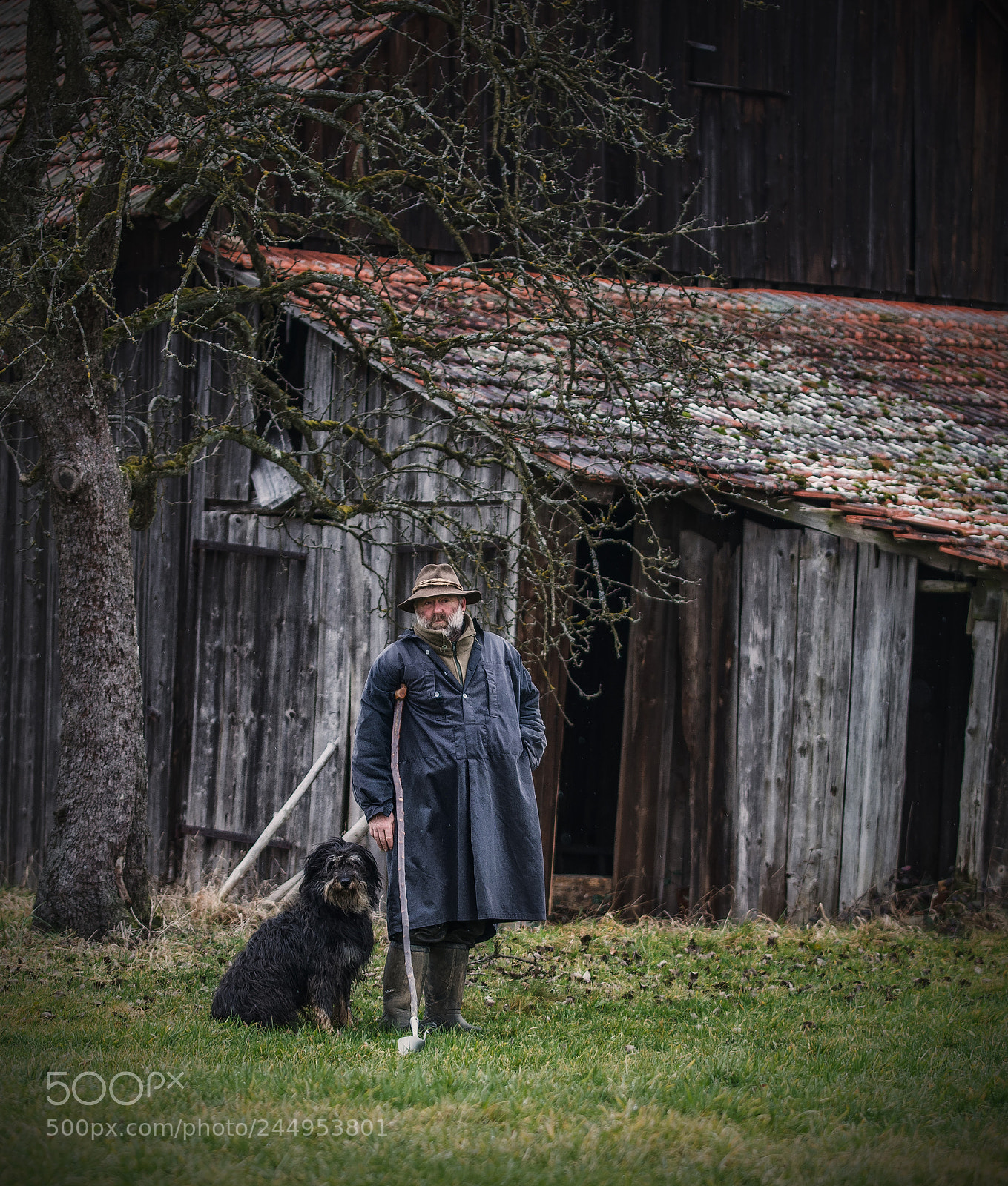 Nikon D7100 sample photo. The shepherd photography