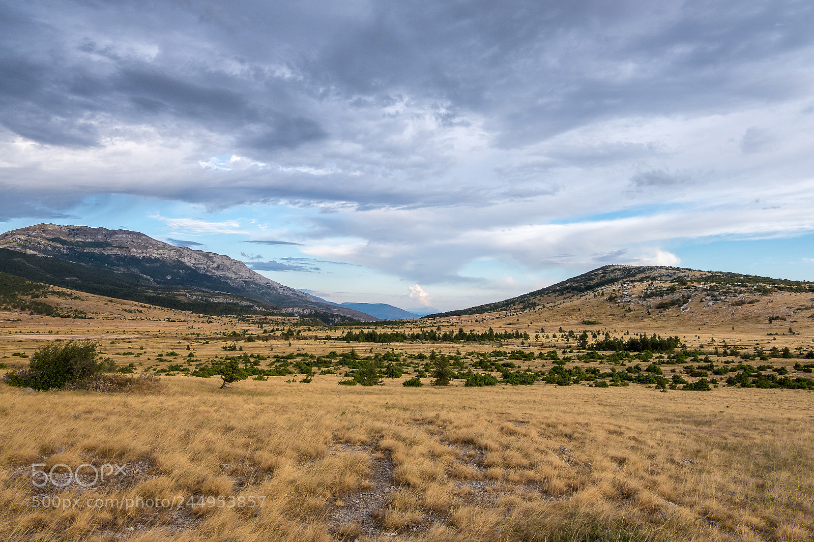 Fujifilm X-T10 sample photo. Meadow photography
