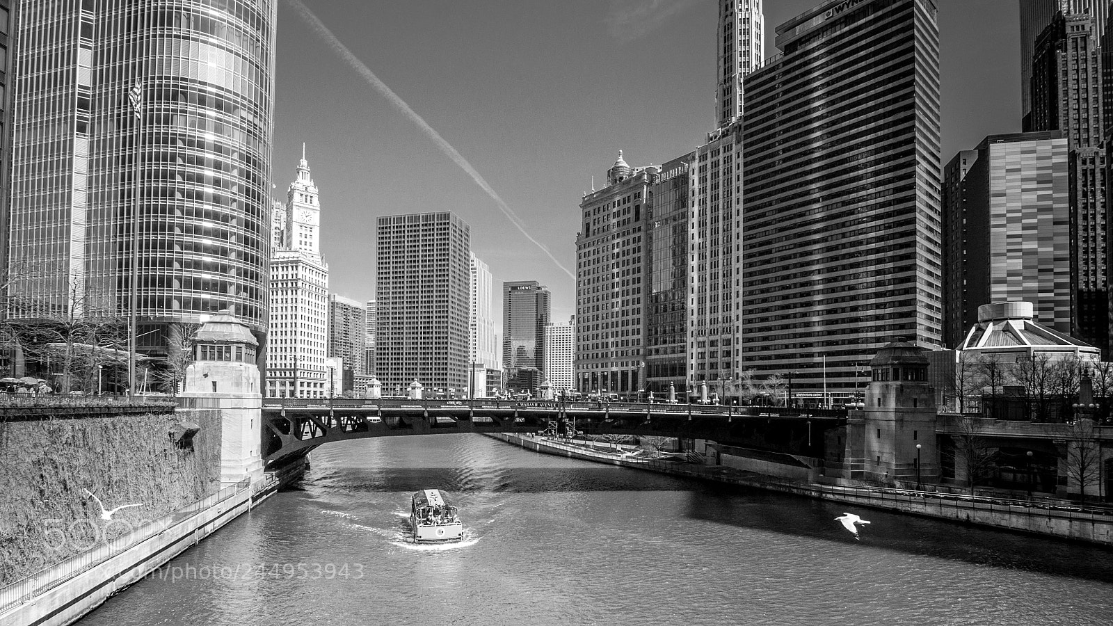 Nikon D5000 sample photo. Chicago architecture photography