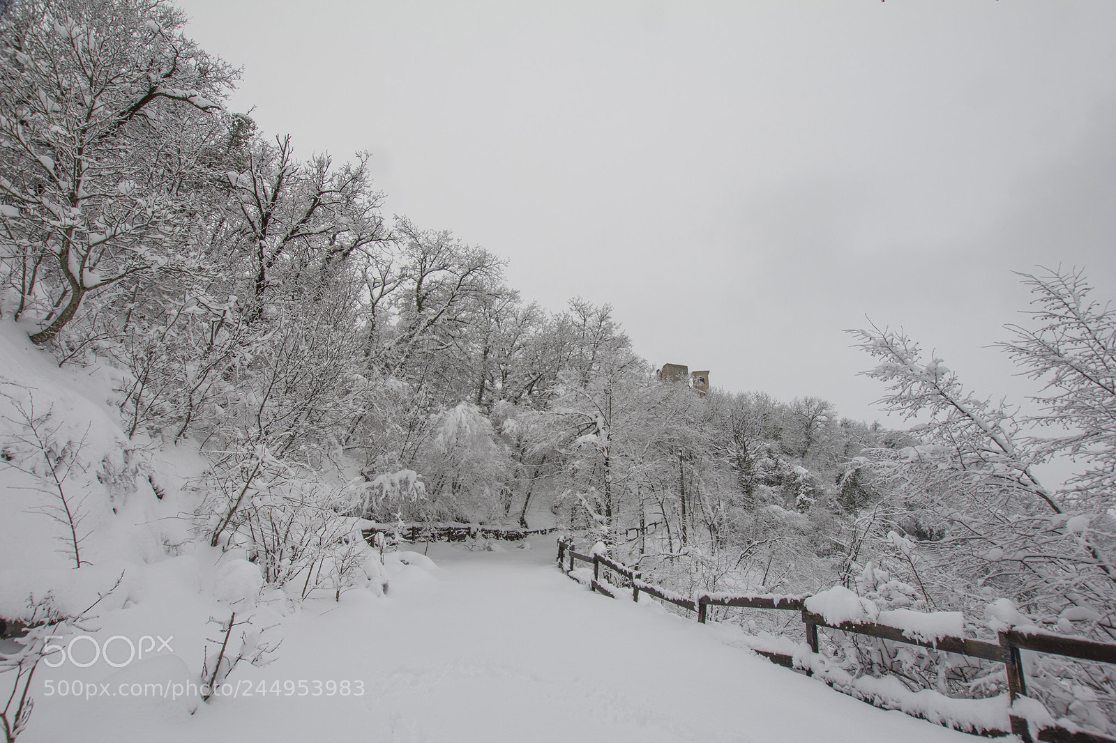 Canon EOS 60D sample photo. Carpineti, appennino reggiano, italia photography