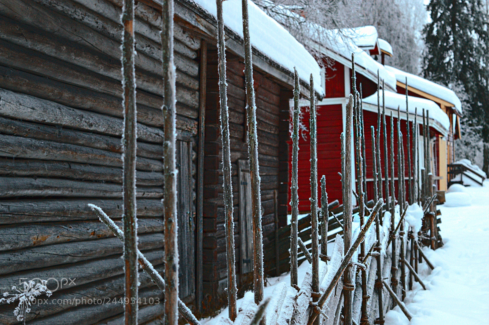Nikon D3200 sample photo. Winter photography