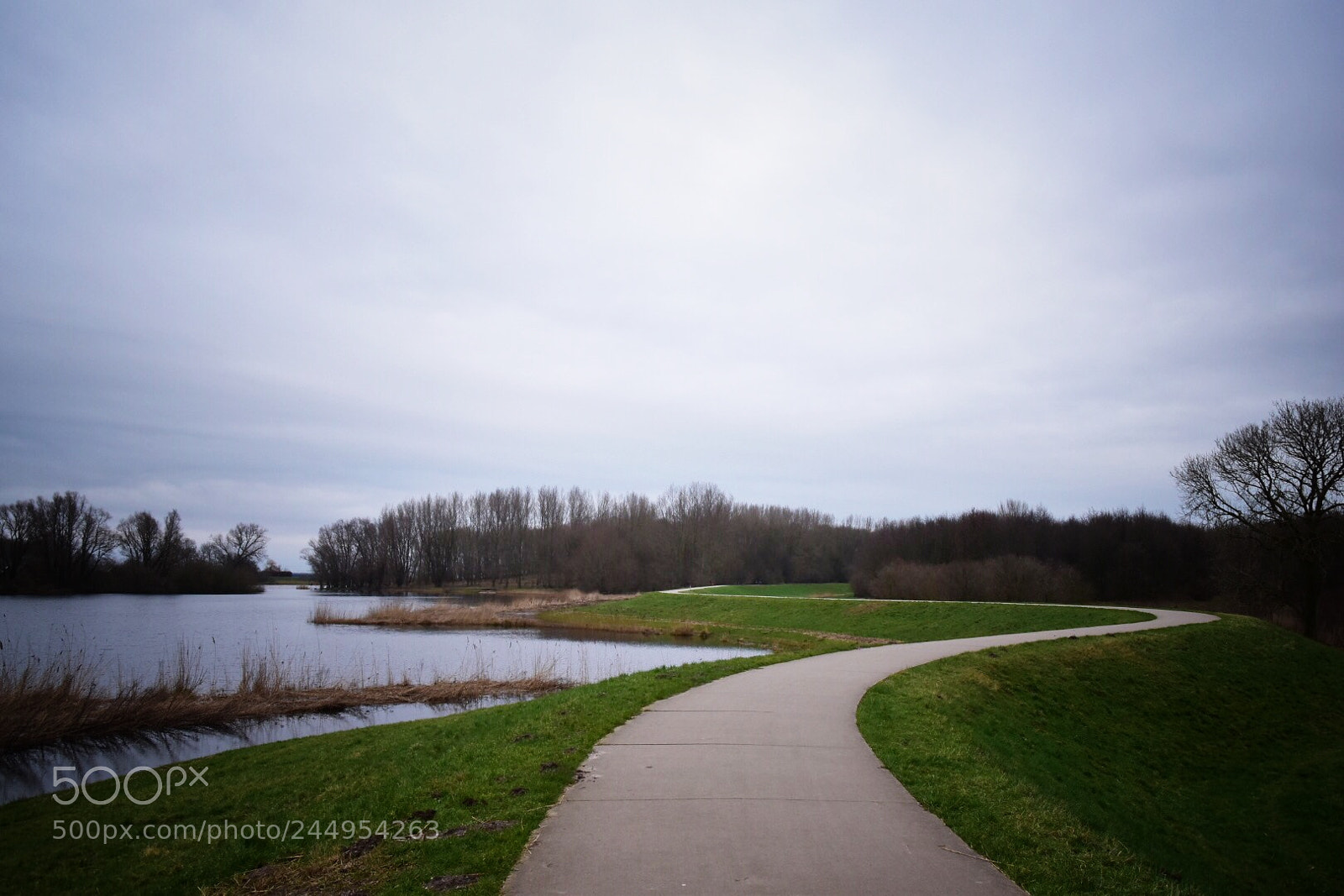 Nikon D5500 sample photo. Untitled photography