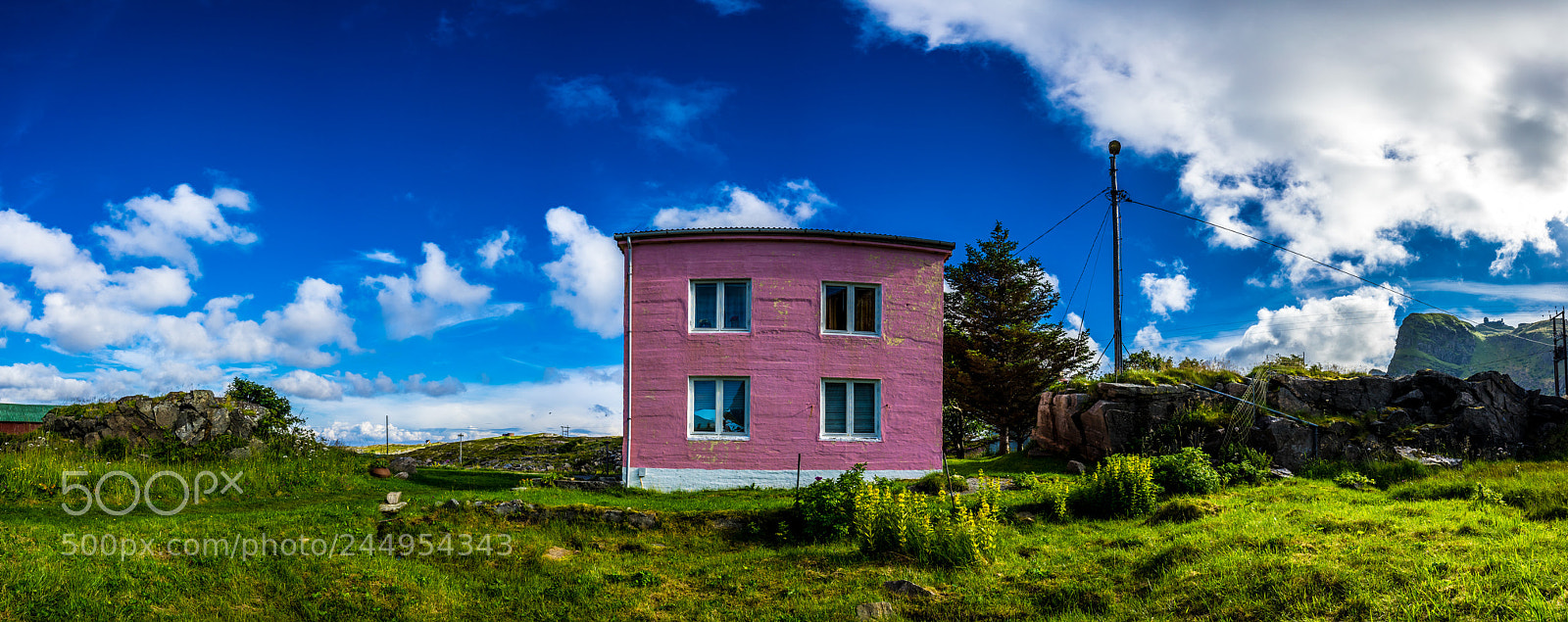 Sony a7 II sample photo. Pink home photography