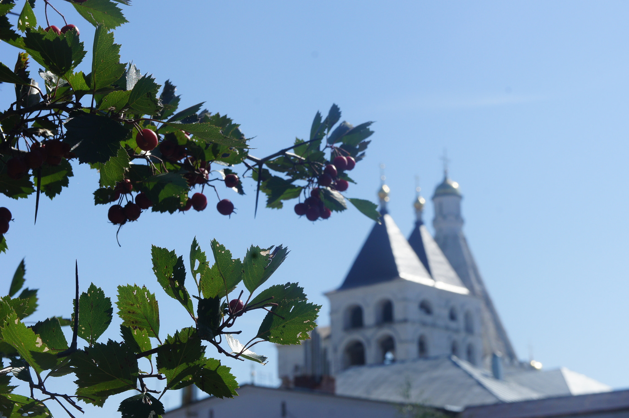 Sony Alpha NEX-3 + Sony E 18-55mm F3.5-5.6 OSS sample photo. Vysotsky monastery, serpuhov photography