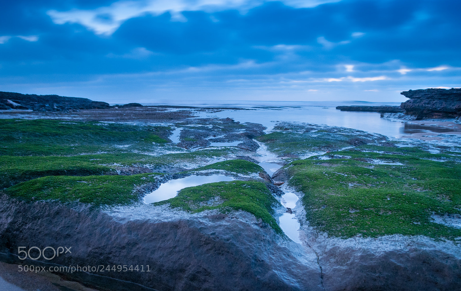Nikon D300S sample photo. Blue hour photography