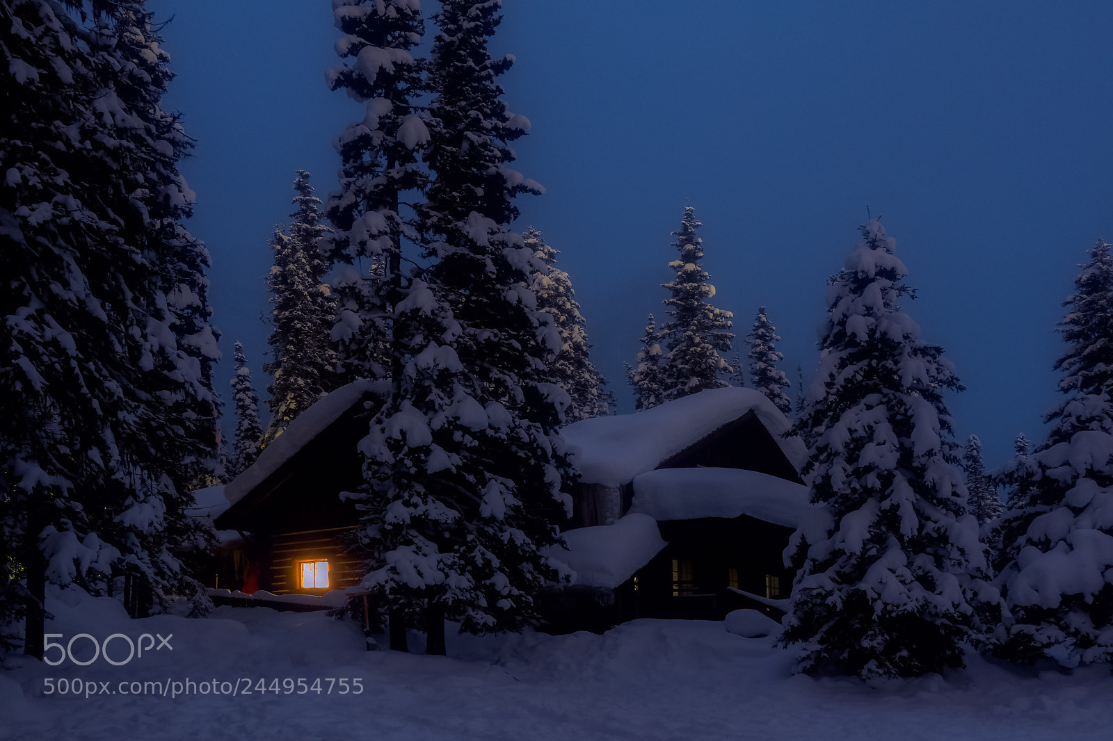 Sony SLT-A77 sample photo. Winter solitude photography