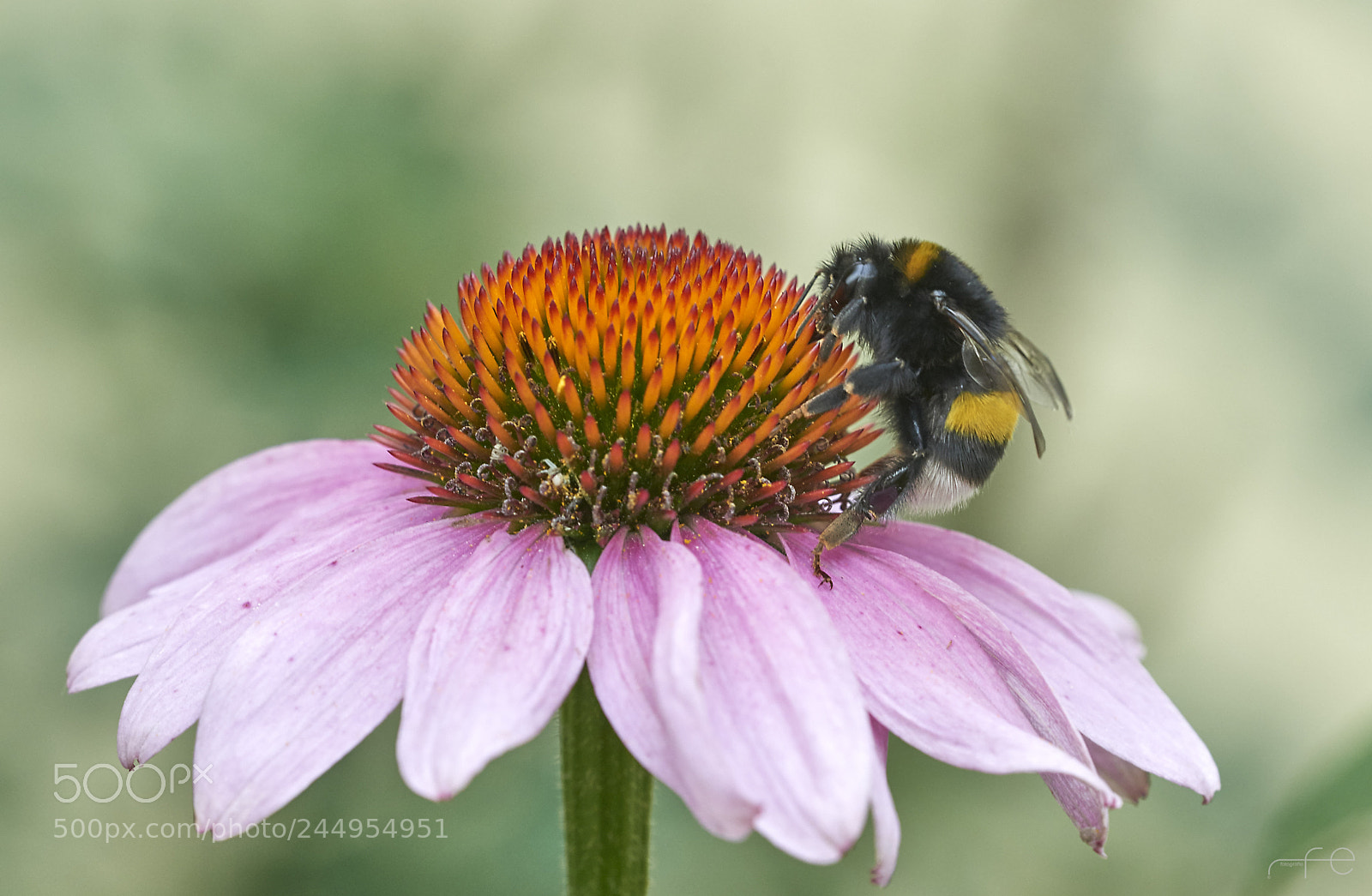 Nikon D800 sample photo. Arbeitseinsatz photography