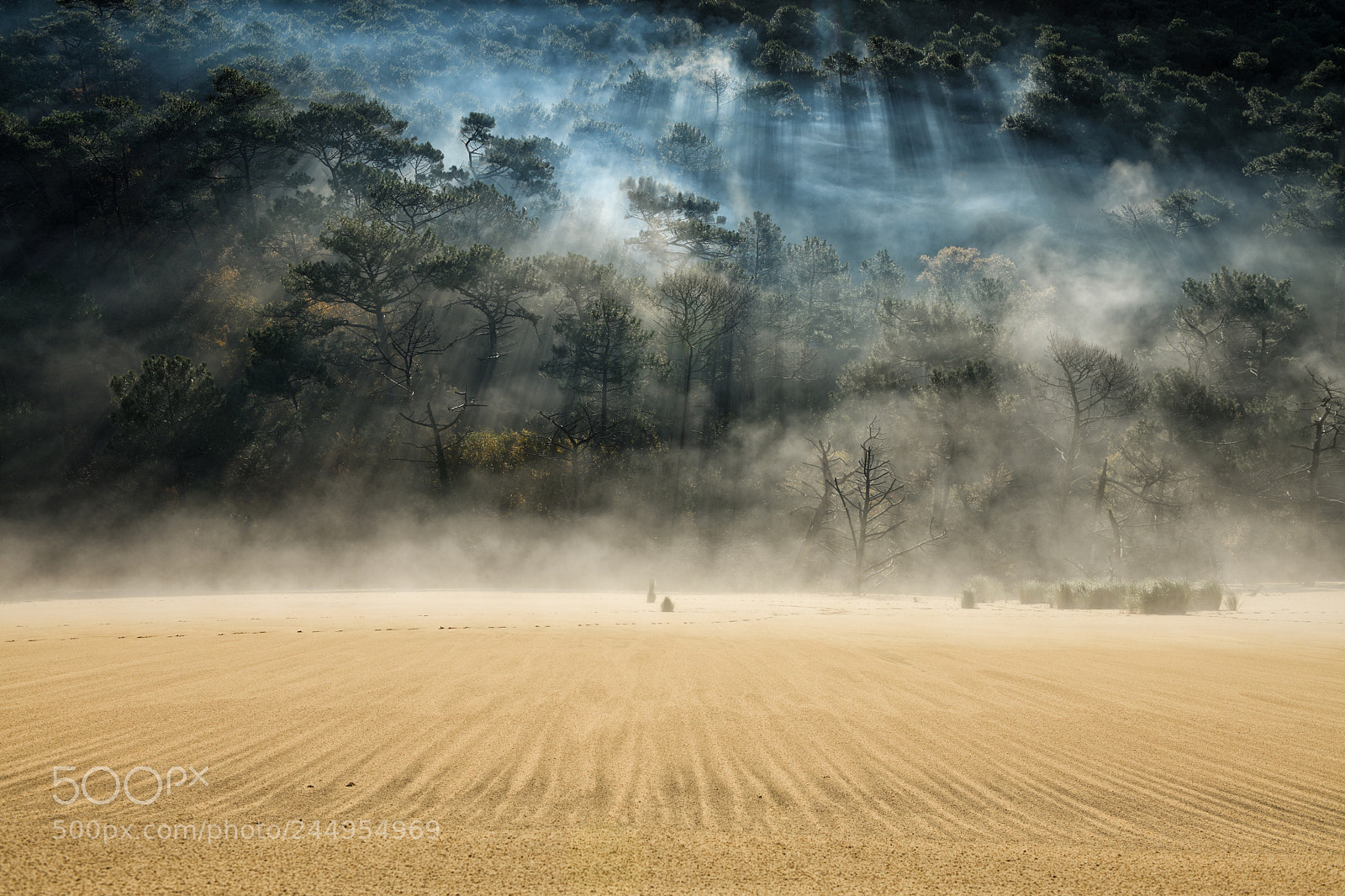 Nikon D850 sample photo. Sand dune pyla france photography