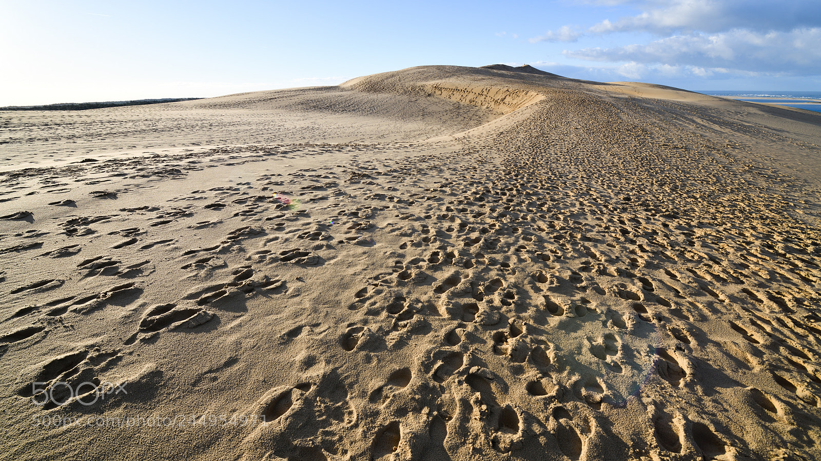 Nikon D850 sample photo. Sand dune pyla france photography