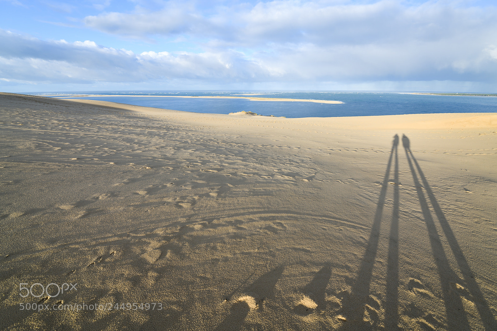 Nikon D850 sample photo. Sand dune pyla france photography