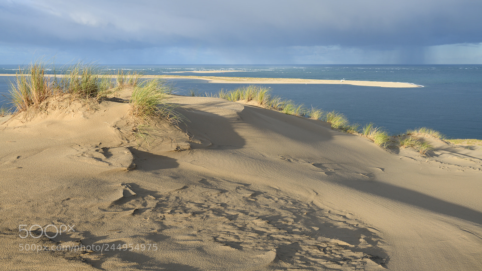Nikon D850 sample photo. Sand dune pyla france photography