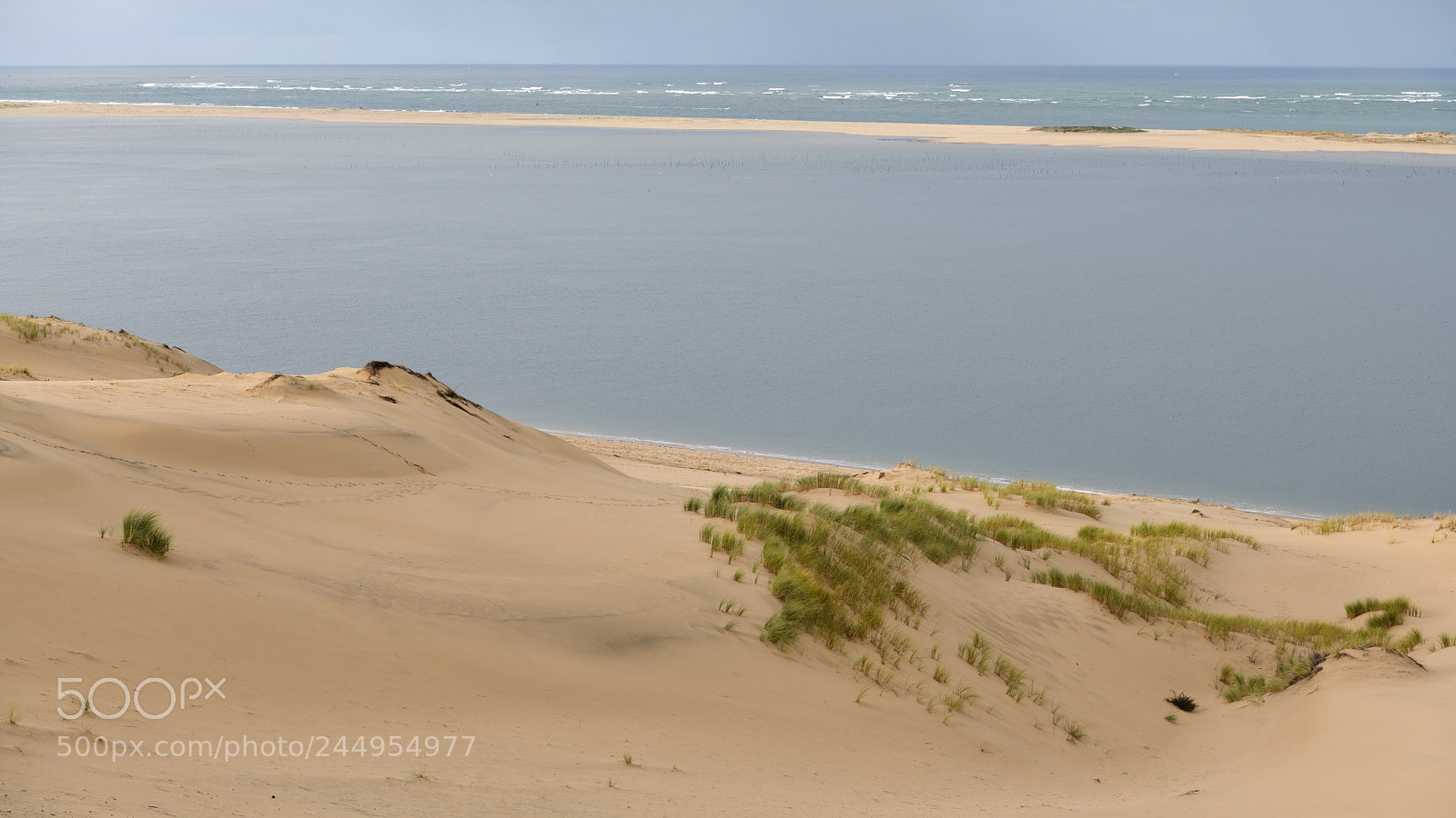 Nikon D850 sample photo. Sand dune pyla france photography