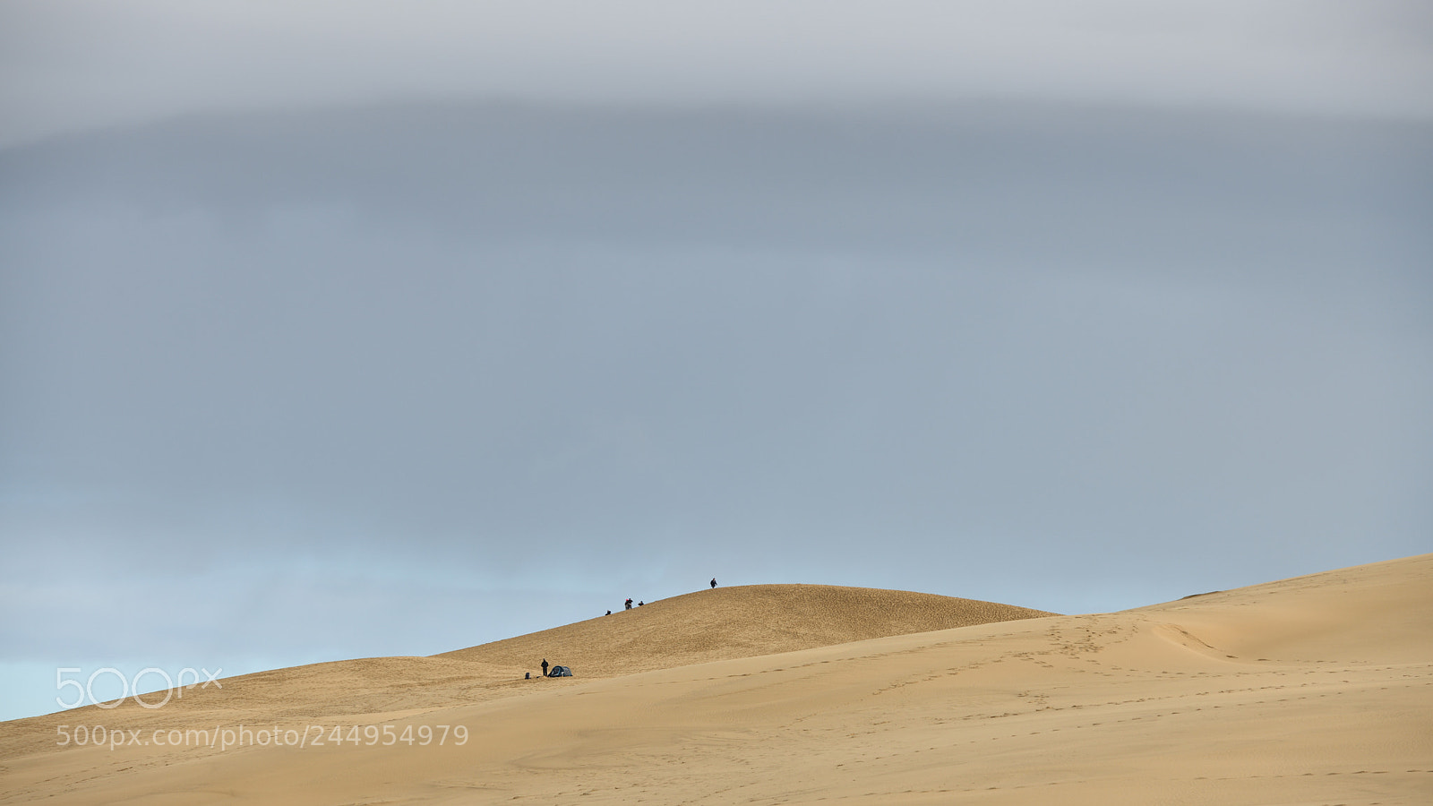 Nikon D850 sample photo. Sand dune pyla france photography
