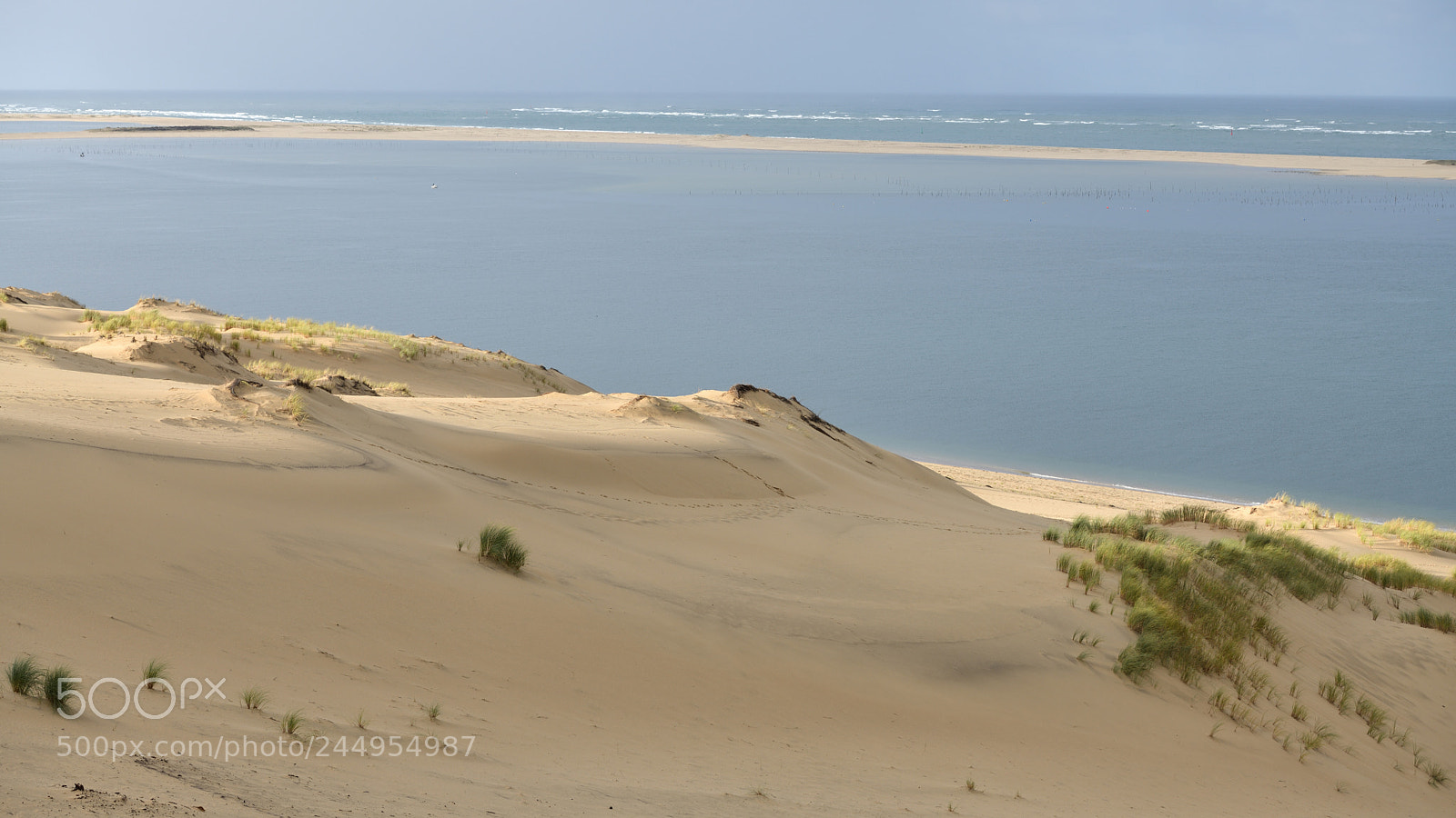 Nikon D850 sample photo. Sand dune pyla france photography