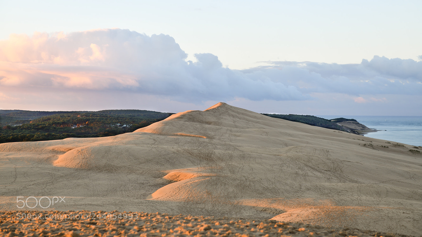 Nikon D850 sample photo. Sand dune pyla france photography