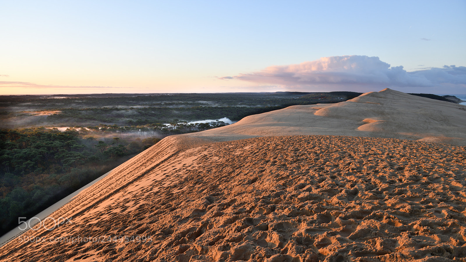 Nikon D850 sample photo. Sand dune pyla france photography
