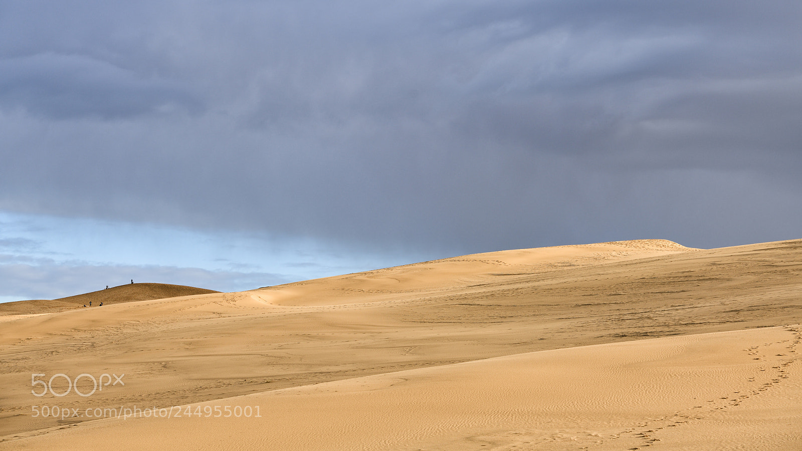 Nikon D850 sample photo. Sand dune pyla france photography
