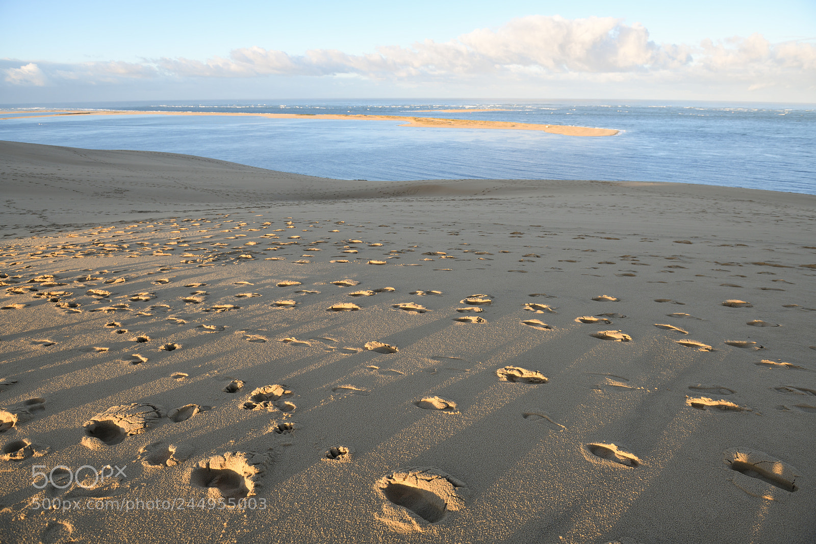 Nikon D850 sample photo. Sand dune pyla france photography