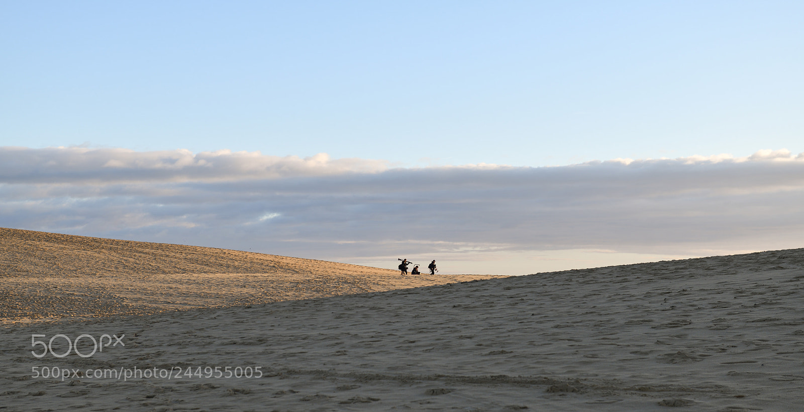 Nikon D850 sample photo. Sand dune pyla france photography