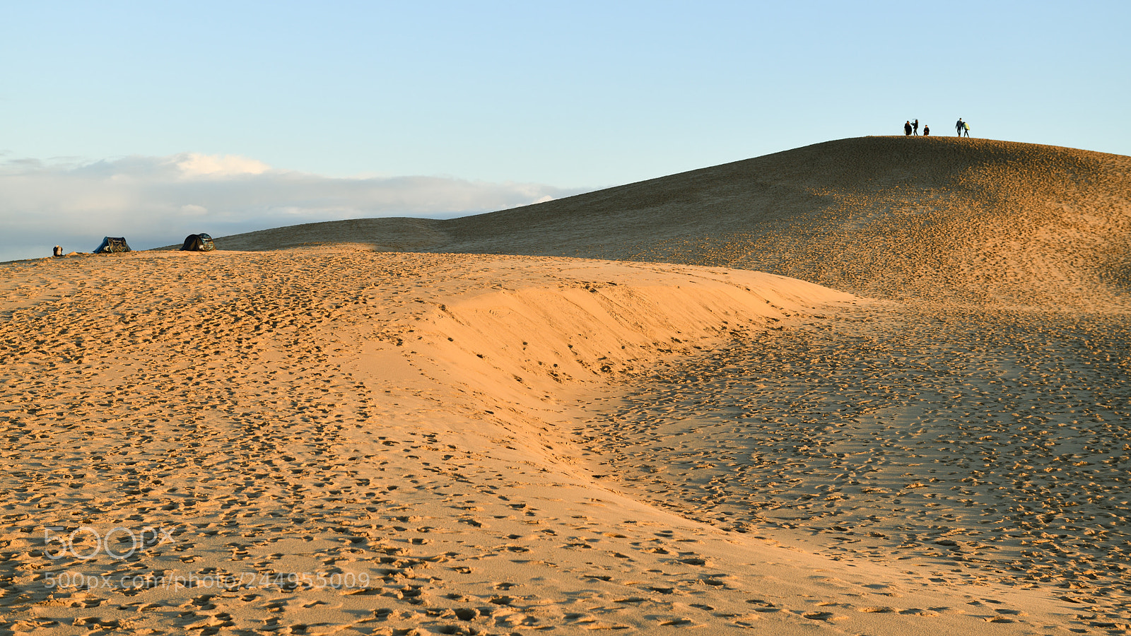 Nikon D850 sample photo. Sand dune pyla france photography