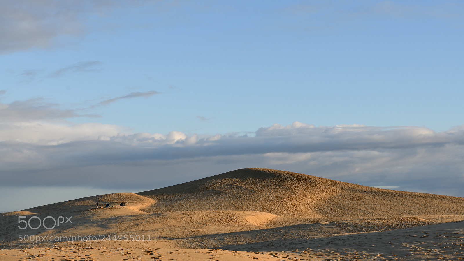 Nikon D850 sample photo. Sand dune pyla france photography