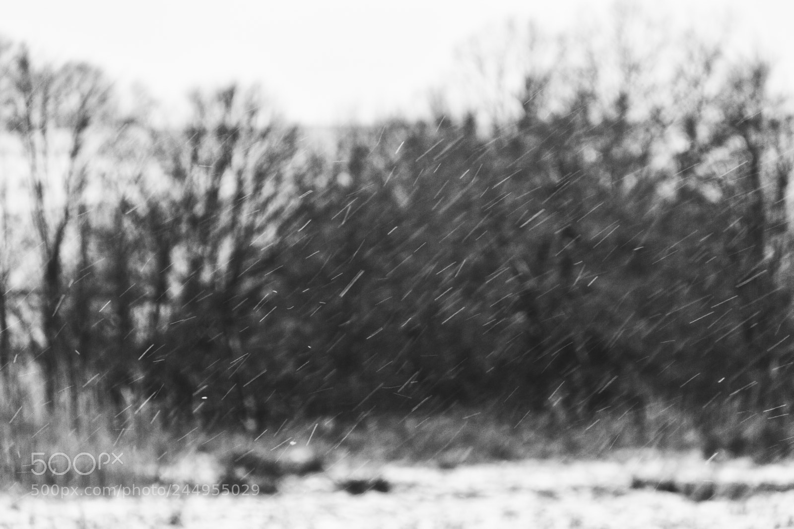 Canon EOS 60D sample photo. Afternoon weather-report photography