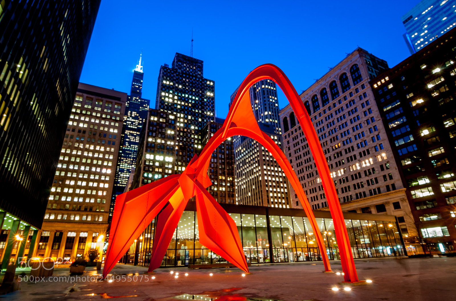 Nikon D5000 sample photo. Chicago's flamingo photography
