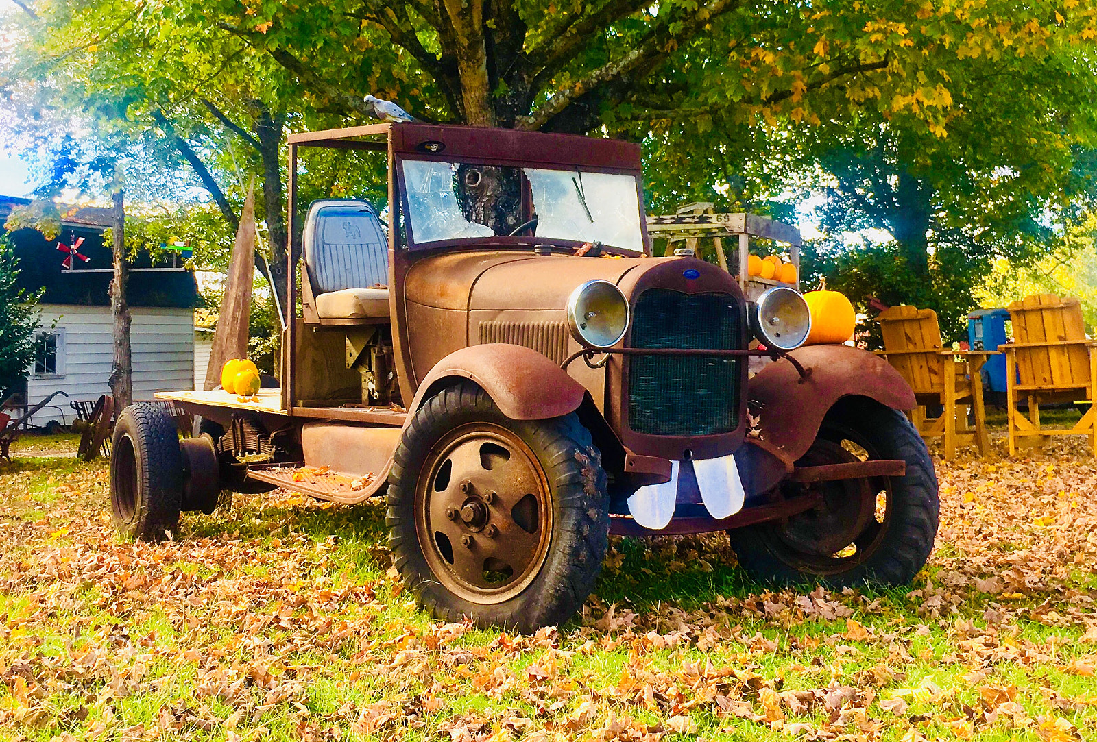 Apple iPhone 6s sample photo. Tow mater photography