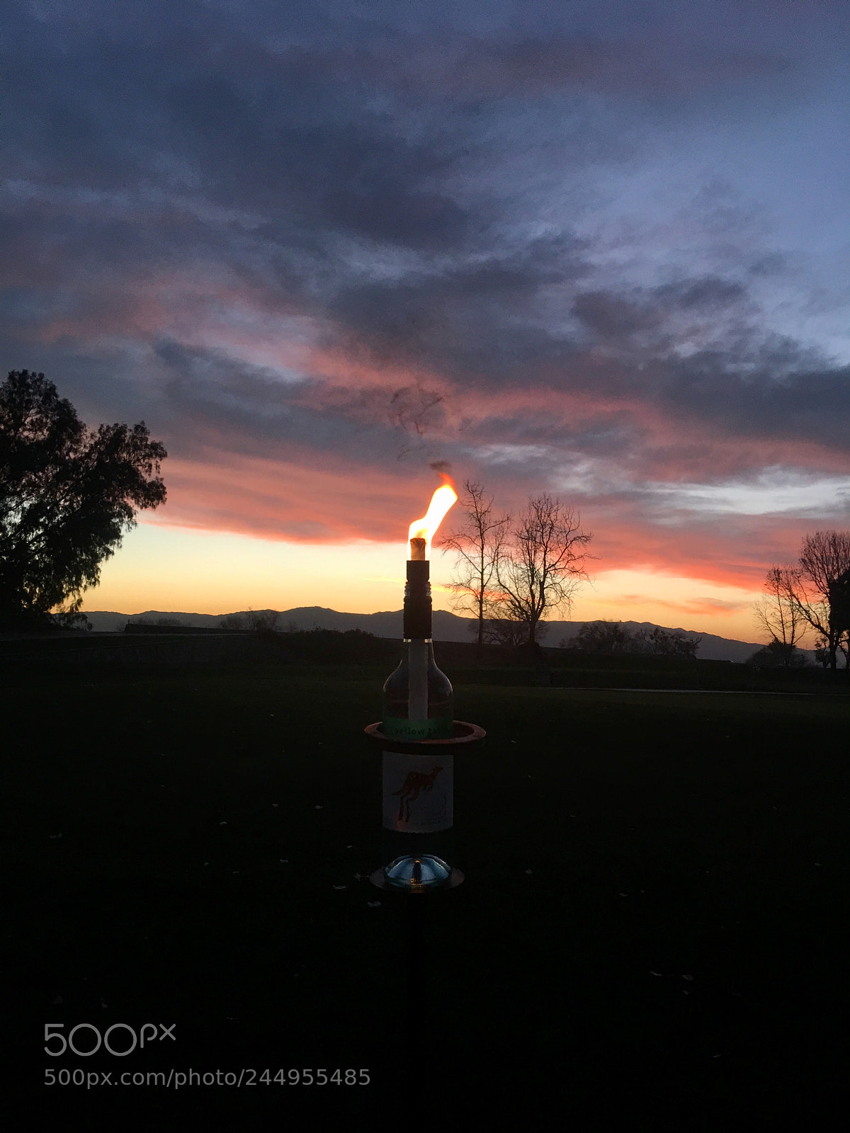 Apple iPhone 6s Plus sample photo. A torch over a photography
