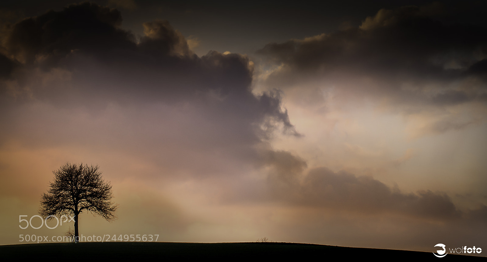Nikon D7100 sample photo. Lonesome 2 photography