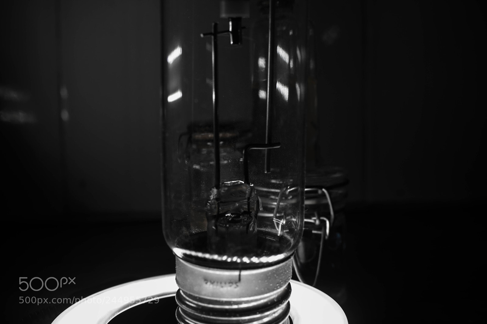 Canon EOS 750D (EOS Rebel T6i / EOS Kiss X8i) sample photo. Light bulb photography